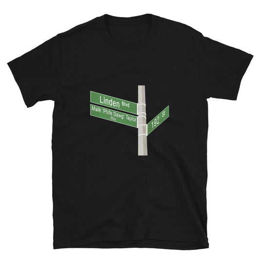 Rap  Shirt / East Coast Hip Hop/ Linden Blvd